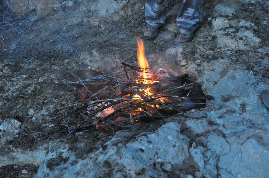 DSC_0245.JPG