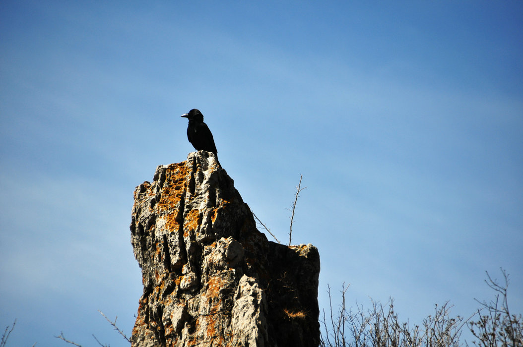 DSC_0316.JPG