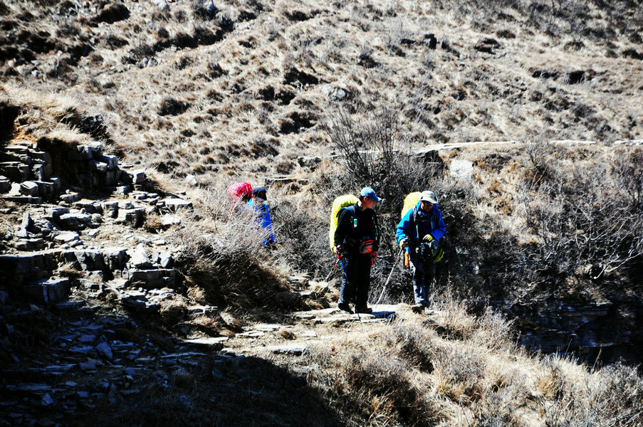 DSC_0320.JPG