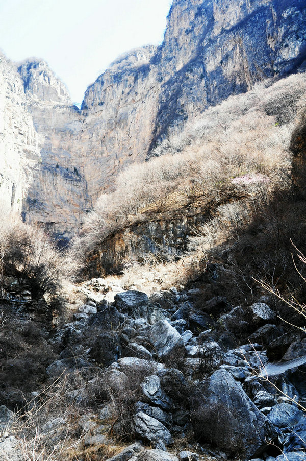 DSC_0373.JPG