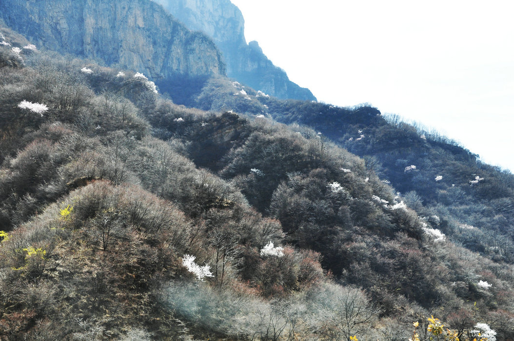 DSC_0387.JPG