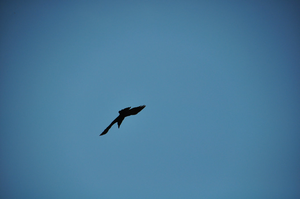 DSC_0390.JPG