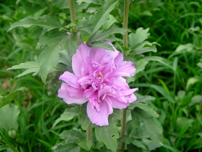 2012327971369244.jpg