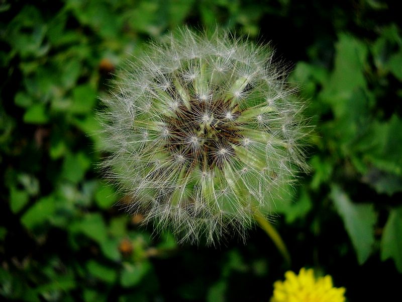 201232719401118689.jpg