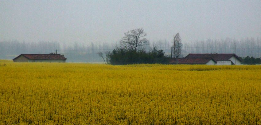 DSCF6105.JPG