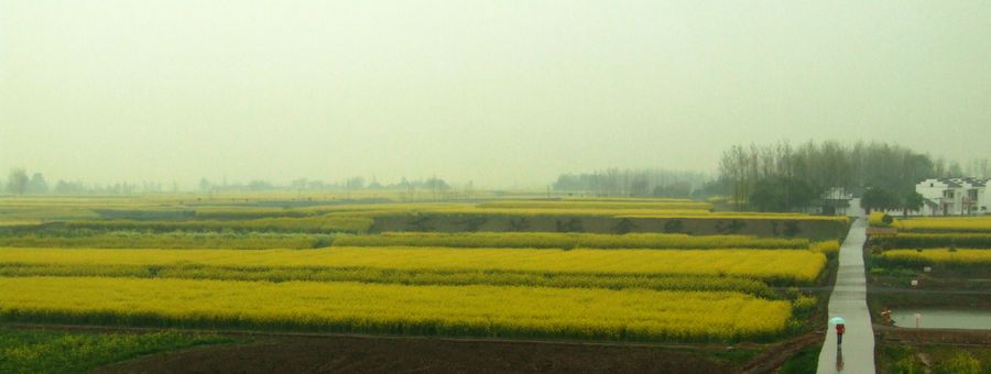 DSCF6124.JPG