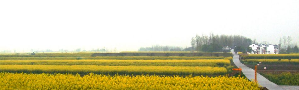 DSCF6116.JPG
