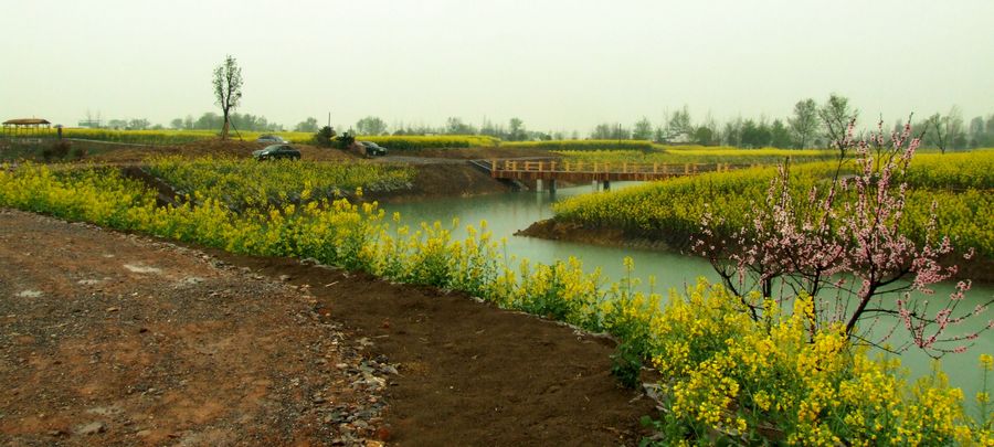 DSCF6143.JPG