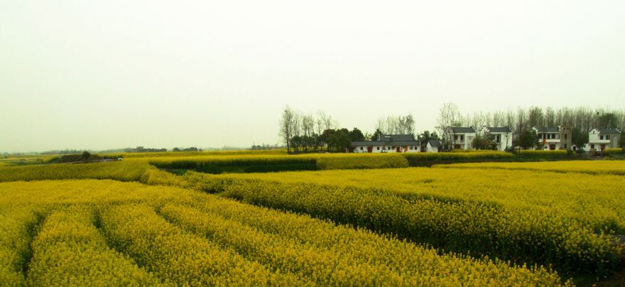 DSCF6155.JPG