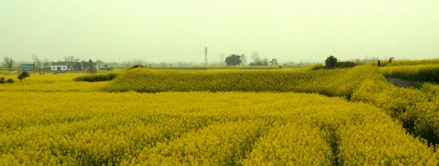 DSCF6151.JPG