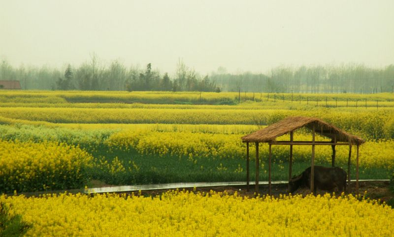 DSCF6156.JPG