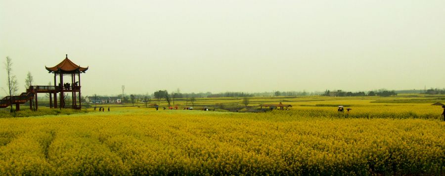 DSCF6160.JPG