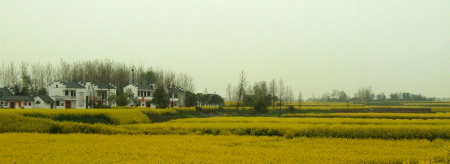 DSCF6158.JPG