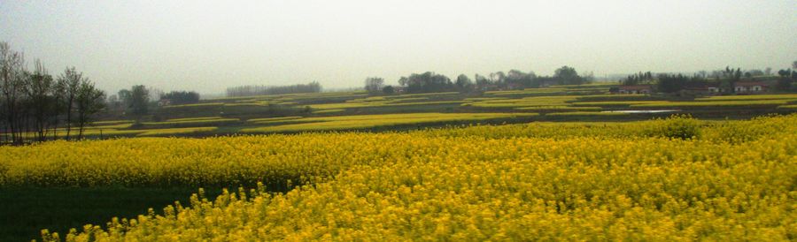 P4040091.JPG