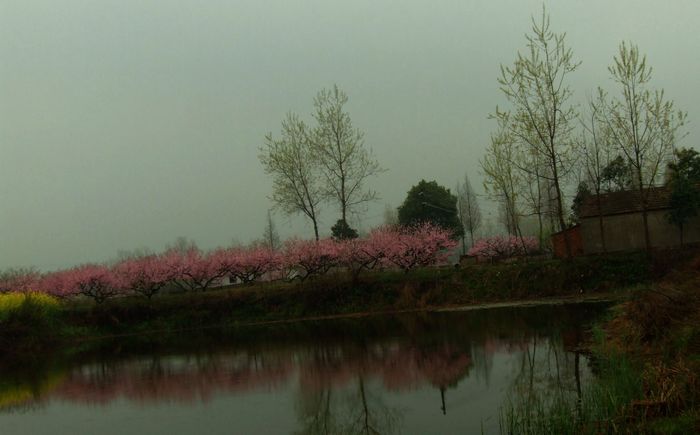 DSCF6168.JPG
