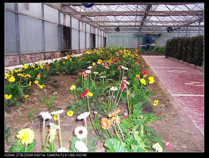 Ƭ 037.jpg