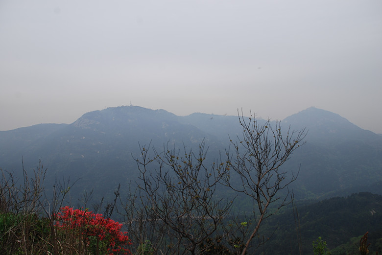 DSC_0211_.jpg
