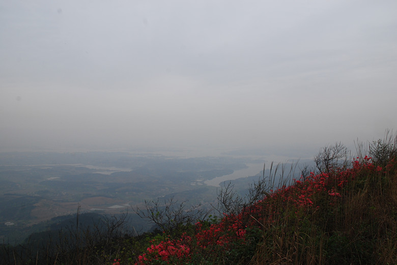 DSC_0229_.jpg