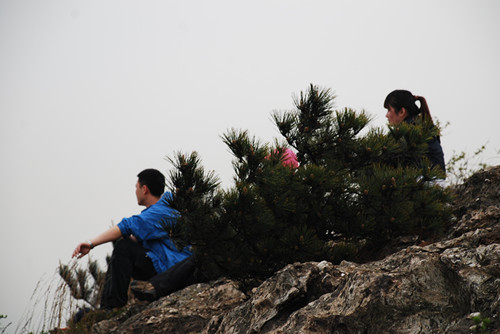 DSC_0232_.jpg