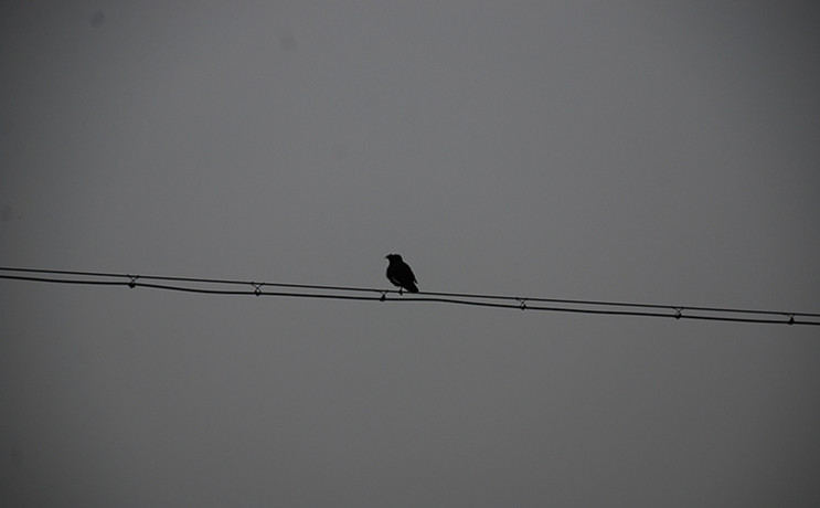 DSC_0273_.jpg