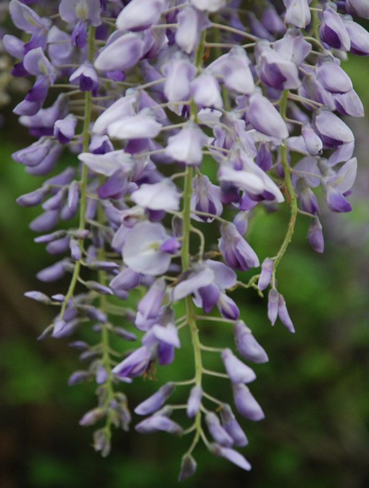 DSC_0276_.jpg