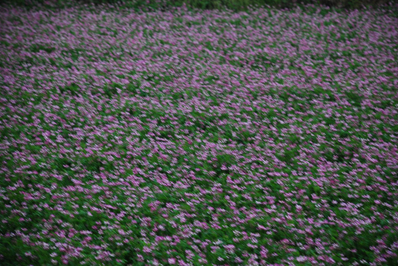 DSC_0283_.jpg