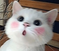 .gif