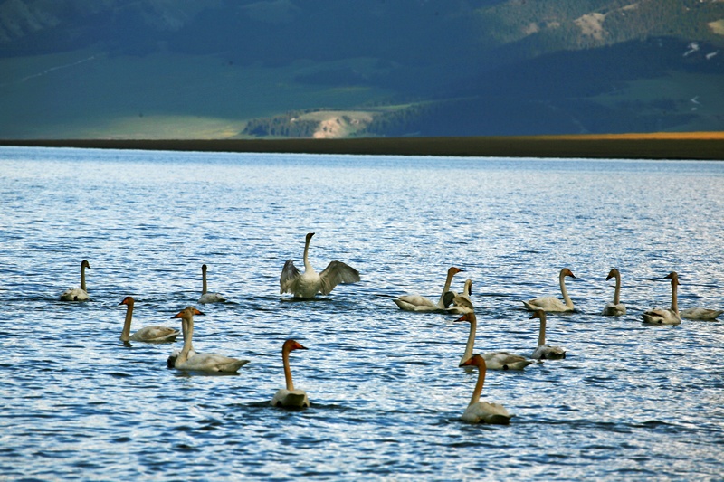 IMG_6356.jpg