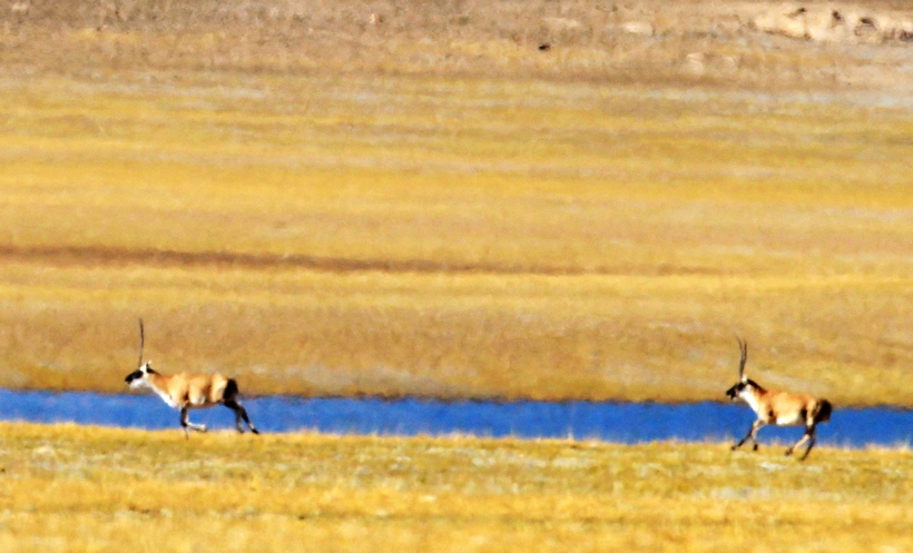 201111191014745675.jpg