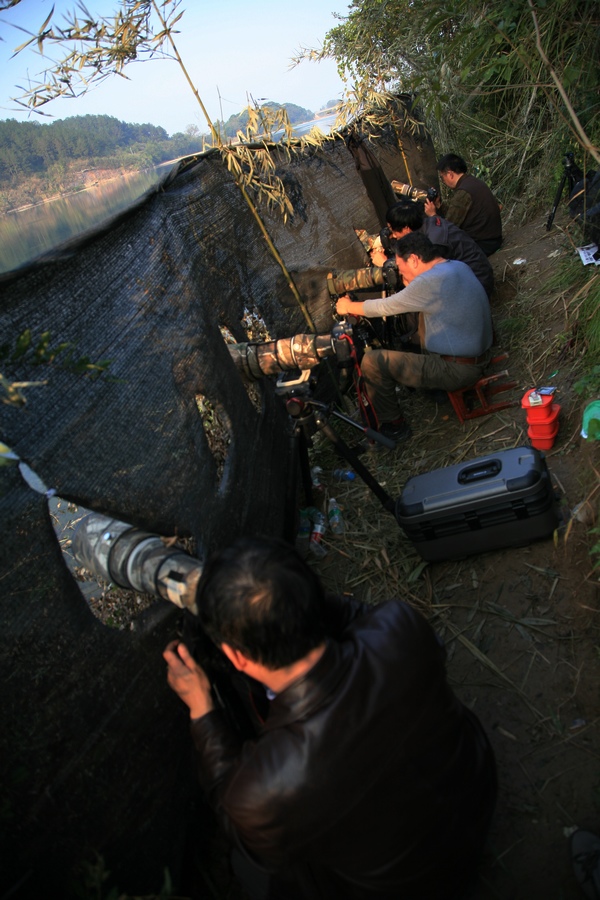 201111291535256635.jpg