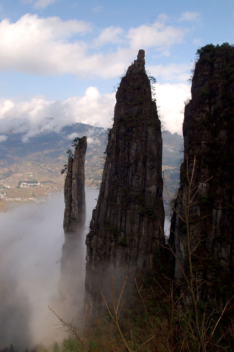 DSC_0194.jpg