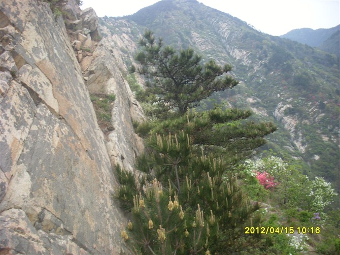 psbCAGYTNS1.jpg