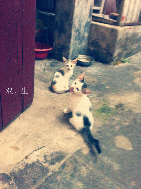 ˫.jpg