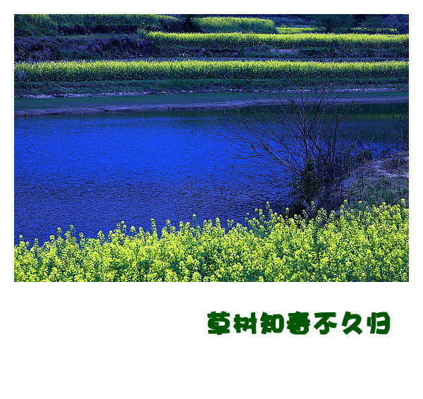 DPP058_.jpg