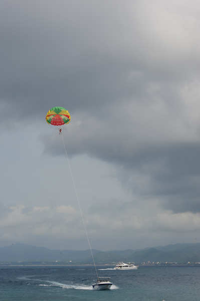 DSC_8555.jpg