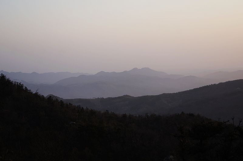 DSC02447.jpg