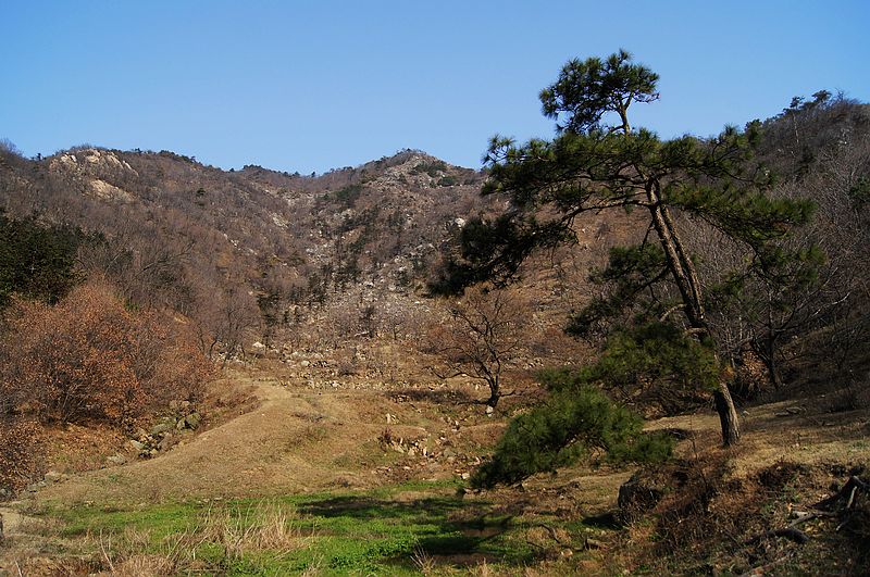 DSC02460.jpg