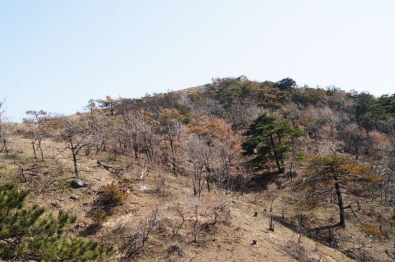 DSC02488.jpg