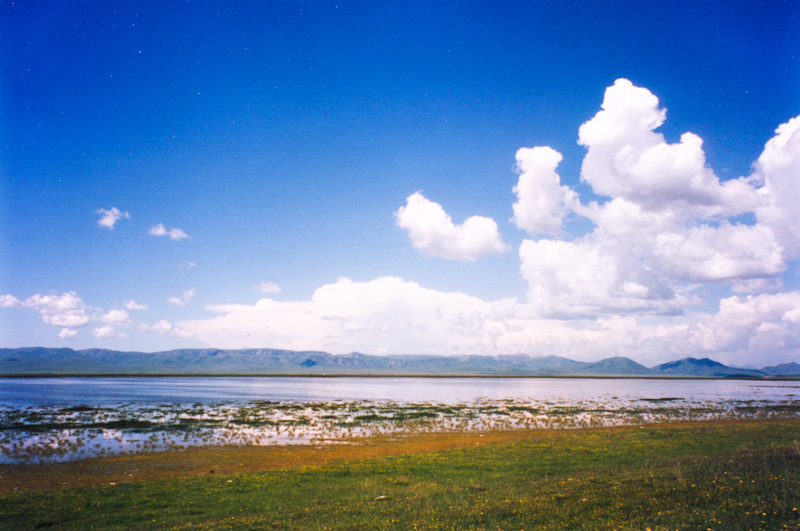landscape0011-2.jpg