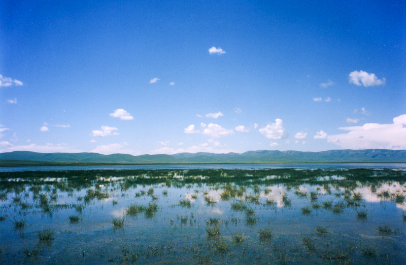 landscape001-2.jpg