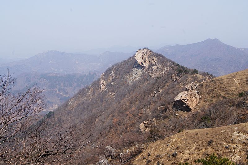 DSC02493.jpg