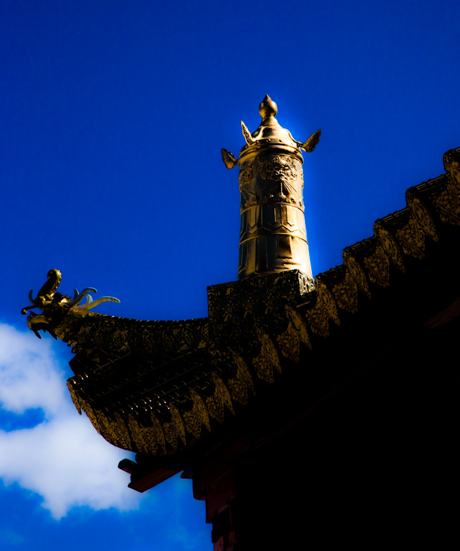 _MG_2110.jpg