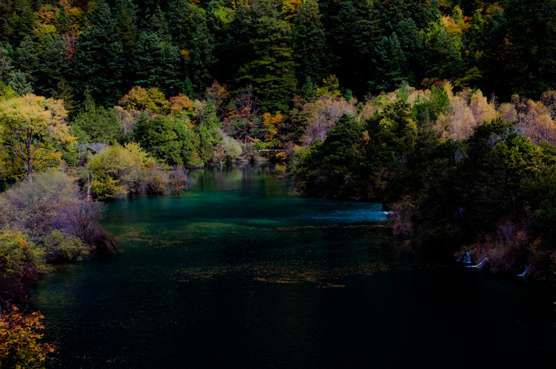 _MG_1716.jpg