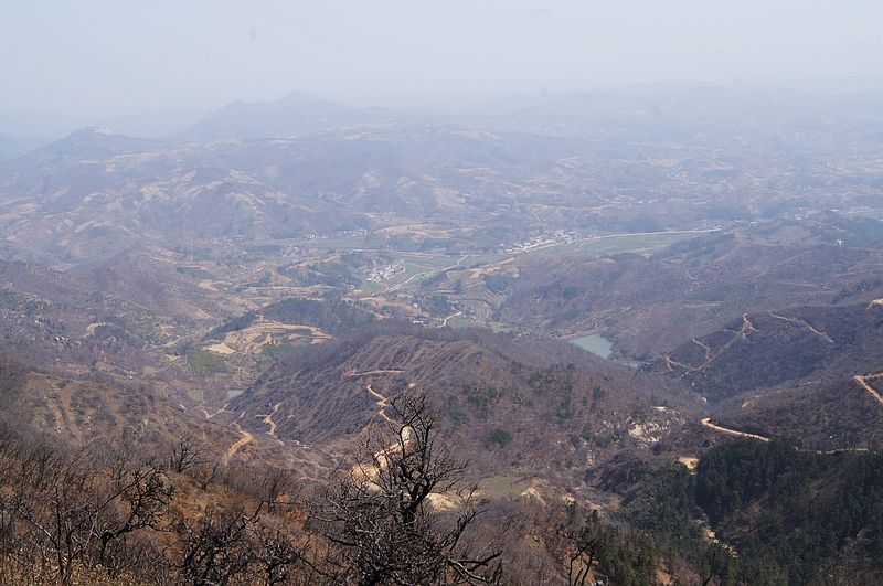 DSC02537.jpg