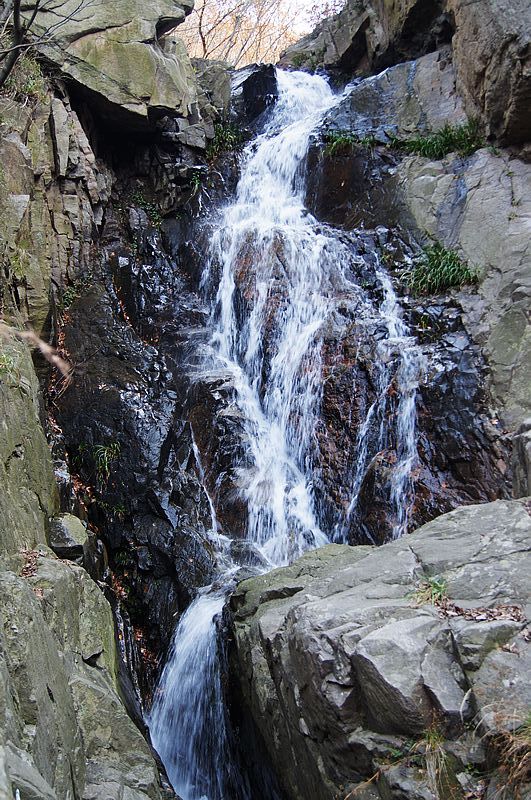 DSC02589.jpg