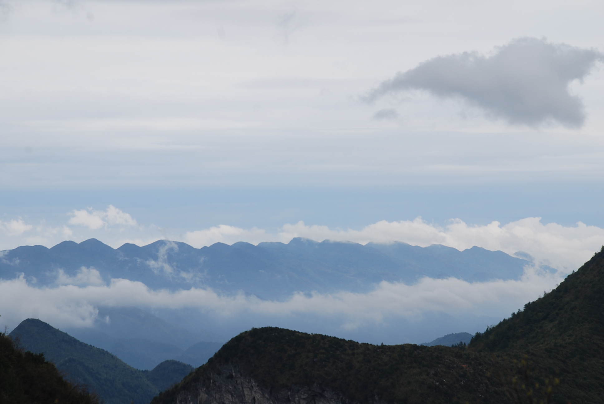 DSC_0318.JPG
