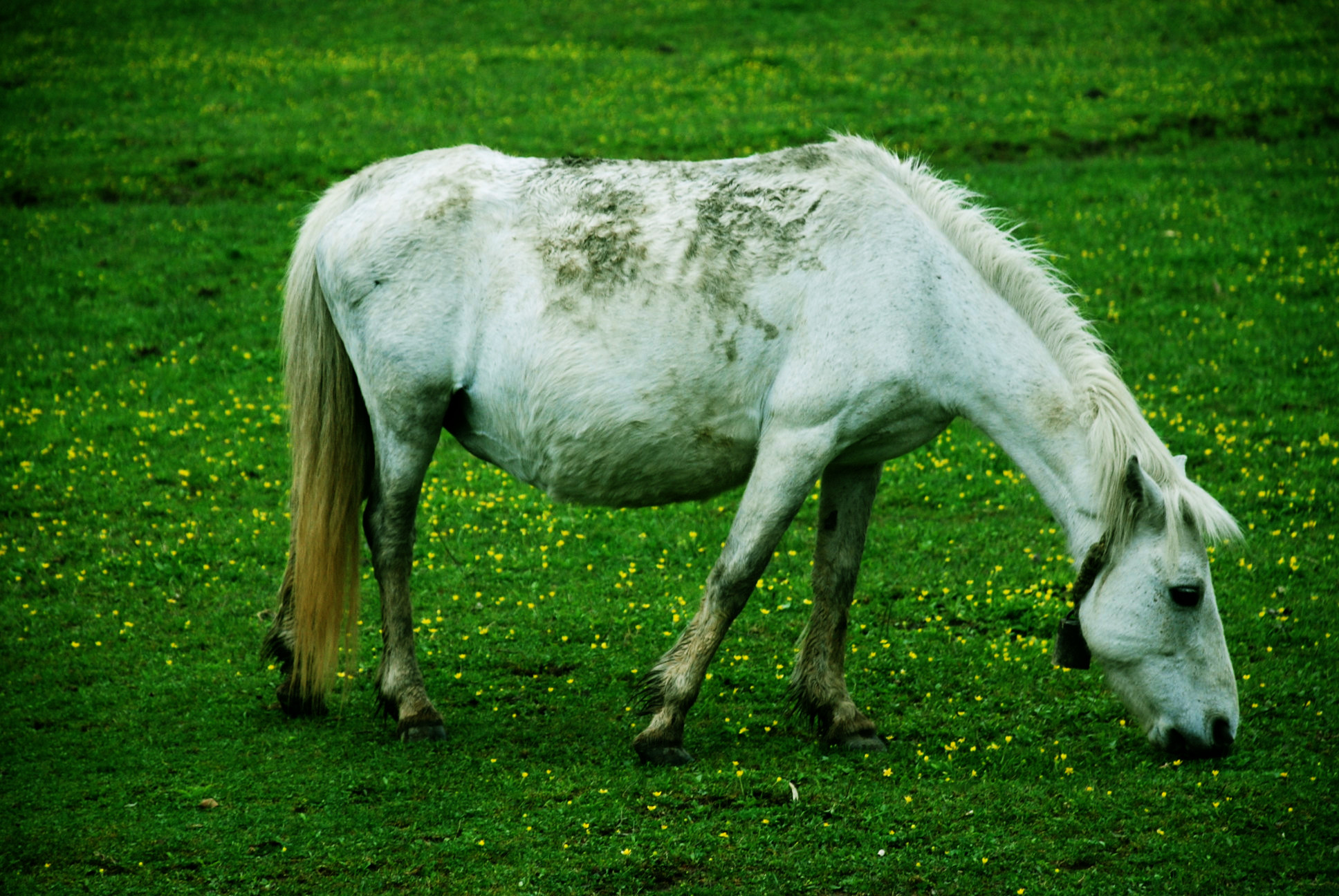 DSC_0114_.jpg