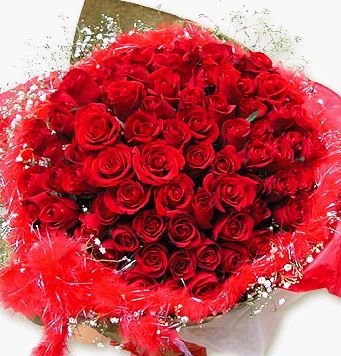 _970184860800752386[1].jpg