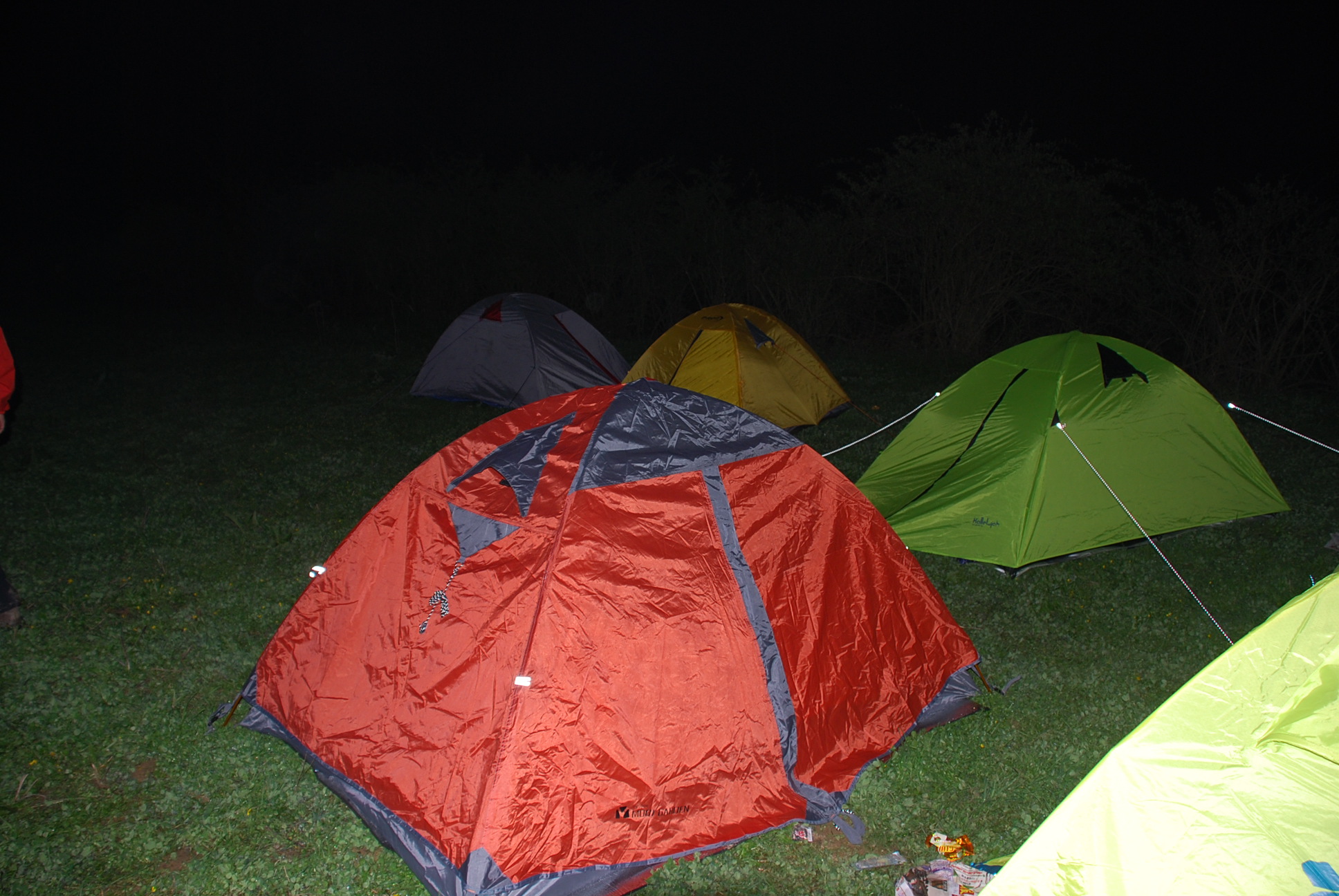DSC_0264.JPG