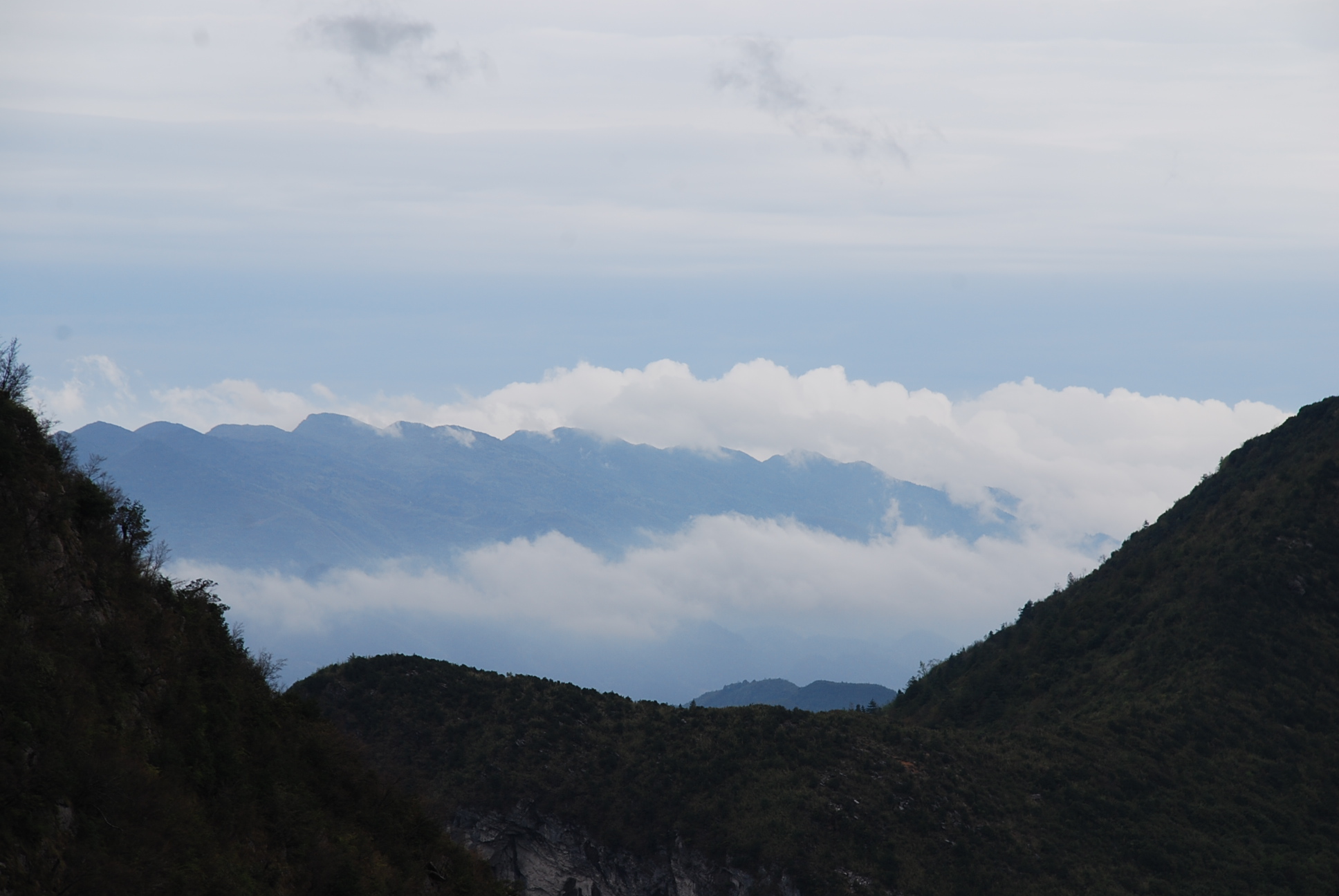 DSC_0309.JPG